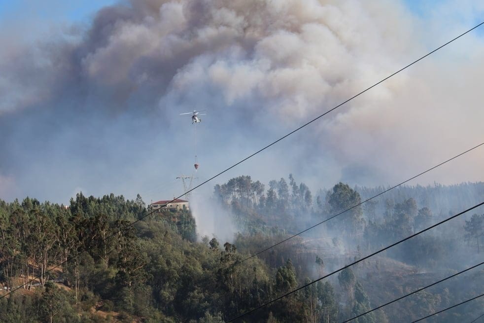 Cinco incêndios em 10 dias no Grou (Asseiceira) incendio IMG 0710