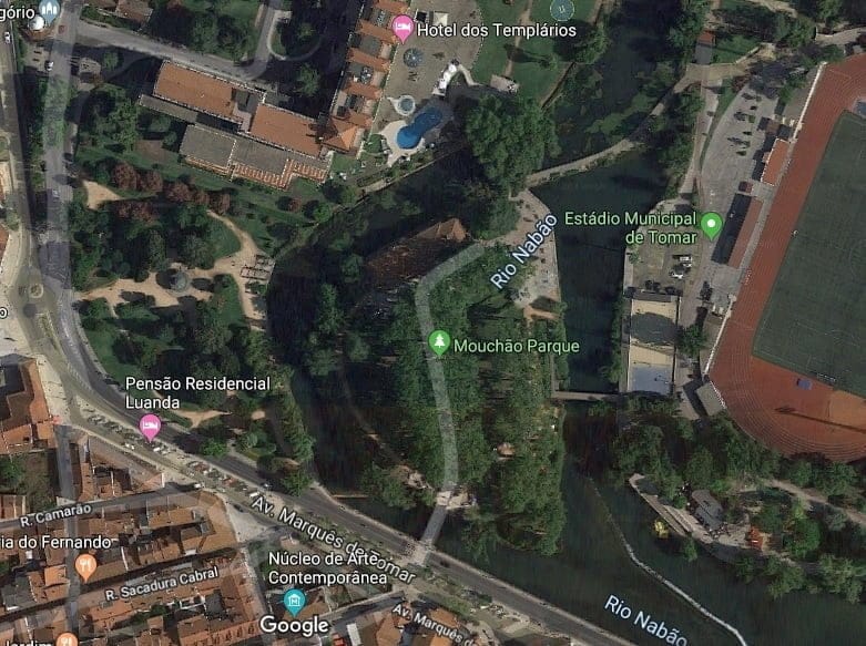 Cidadãos alertam para árvores em perigo mouchao