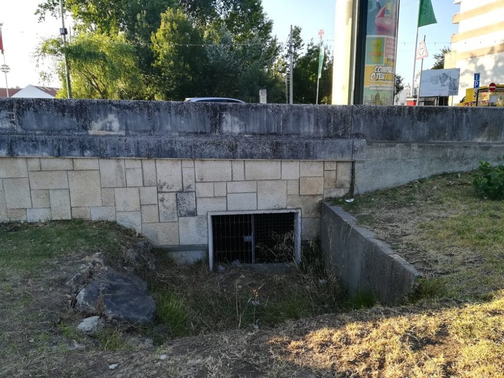 Sabia que… ponte nova IMG 20190804 192735
