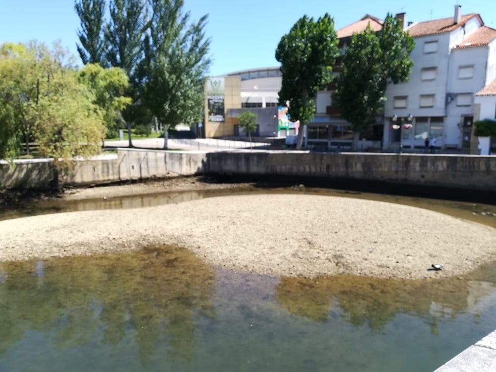 Câmara anuncia operação de desassoreamento do rio rio nabao IMG 20190805 113728