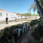 Várias árvores abatidas junto ao rio Nabão (c/ fotos e vídeo) arvores 143071 286906190489714688 n
