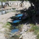 Várias árvores abatidas junto ao rio Nabão (c/ fotos e vídeo) arvores 6640 1179223394701279232 n