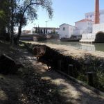 Várias árvores abatidas junto ao rio Nabão (c/ fotos e vídeo) arvores 76481 910765944173756416 n