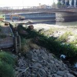 Várias árvores abatidas junto ao rio Nabão (c/ fotos e vídeo) arvores 484692874739318784 n
