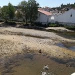 Desassoreamento no rio Nabão já começou (c/ fotos e vídeo) rio nabao desassoreamento IMG 20190903 143240