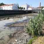 Desassoreamento no rio Nabão já começou (c/ fotos e vídeo) rio nabao desassoreamento IMG 20190903 150550