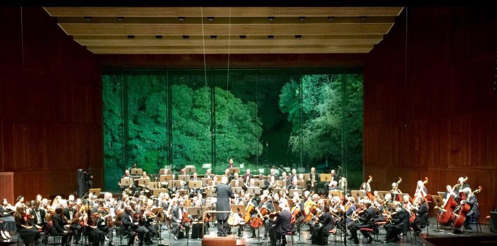 Dois tomarenses na orquestra internacional de médicos w 6481042654 6433961331254099968 n