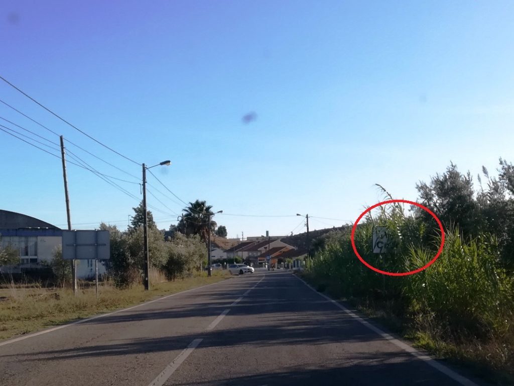 Que terra é esta? IMG 20191003 173347 1 Copy