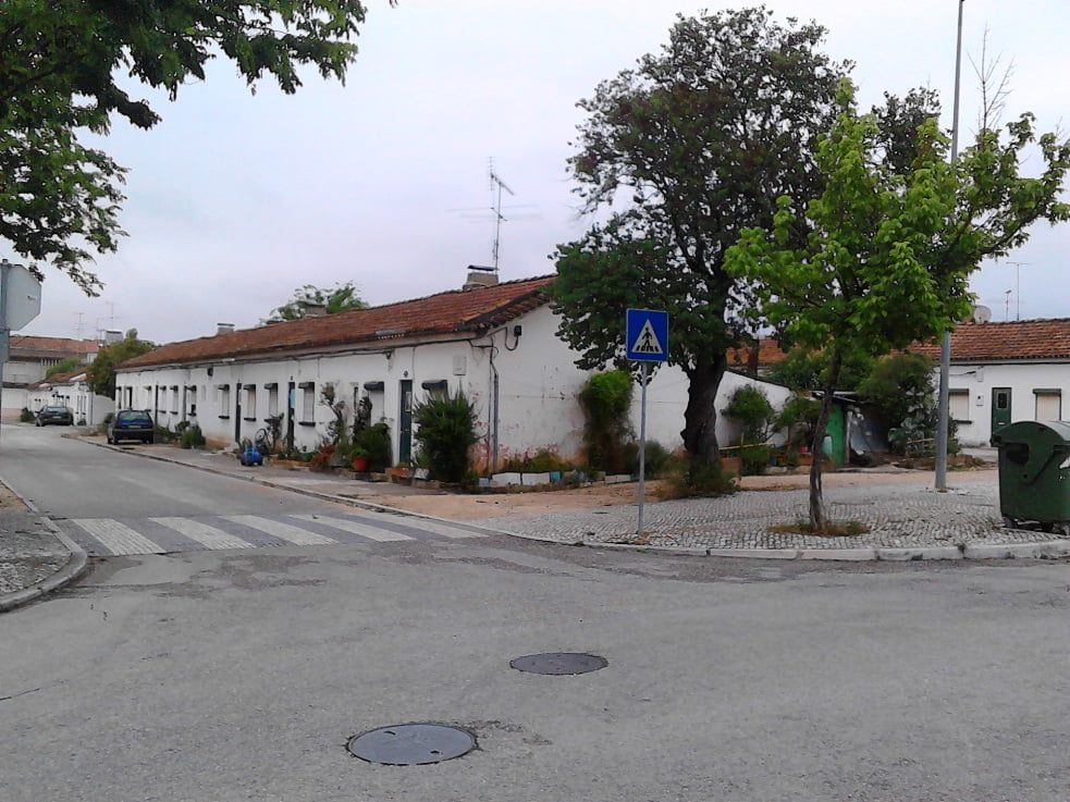 Cães atacam ciclista bairro 1° de maio IMG 20170514 075358