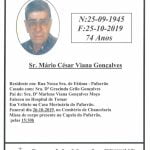 mario goncalves 7 4887662754099363840 n