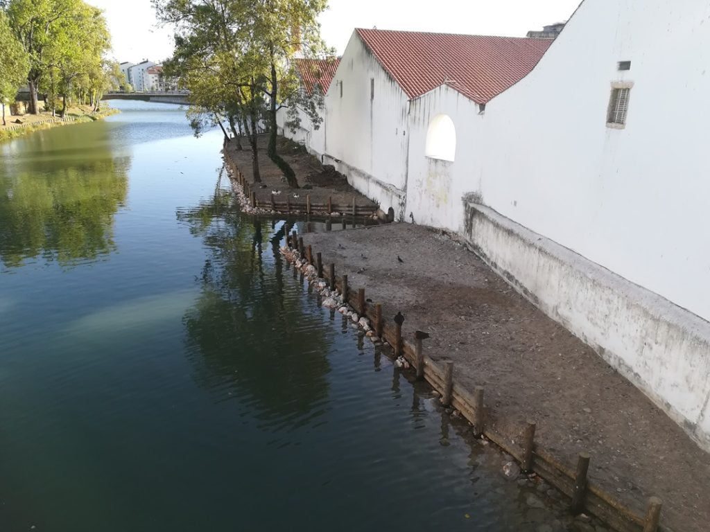 Patos têm novo espaço no rio Nabão rio nabao patos IMG 20191005 171226