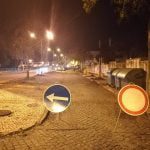 Câmara abate e substitui uma dezena de árvores arvores 030 334275578070827008 n