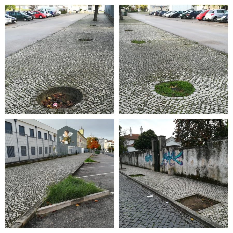 O que falta aqui? (c/ fotos) arvores 4567890