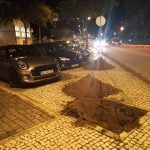 Câmara abate e substitui uma dezena de árvores arvores 480770 8791763695173632 n