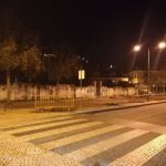 Câmara abate e substitui uma dezena de árvores arvores 771179 4079837353420521472 n