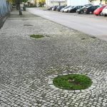 O que falta aqui? (c/ fotos) arvores IMG 20191110 082720