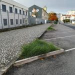 O que falta aqui? (c/ fotos) arvores IMG 20191110 084722