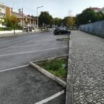 O que falta aqui? (c/ fotos) arvores IMG 20191110 084738
