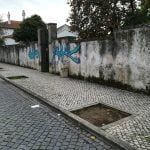 O que falta aqui? (c/ fotos) arvores IMG 20191110 090225