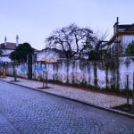 Já foram plantadas novas árvores na av. Marquês de Tomar arvores IMG 20191129 073704