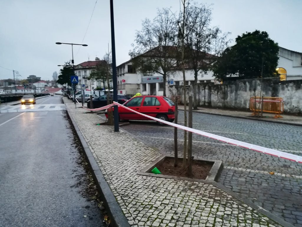 Já foram plantadas novas árvores na av. Marquês de Tomar arvores IMG 20191129 073746
