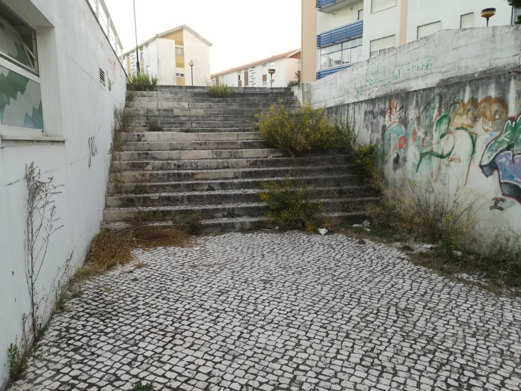 ervas IMG 20191006 074509