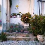 Árvores de Natal com produtos reciclados na rua dos Arcos (c/ fotos) IMG 20191205 171942