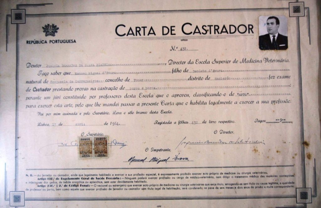 Uma licença de capador de 1964 carta de castrador capador