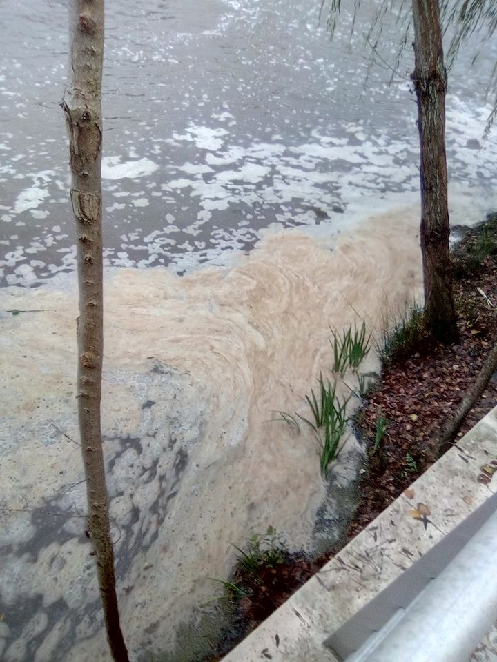Rio Nabão transformado em esgoto a céu aberto (c/ fotos e vídeos) poluic 5562919771529281536 o