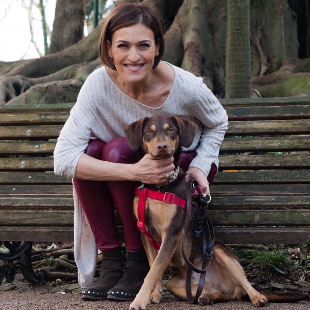 Ourém: Fátima Lopes (TVI) lança apelo para encontrarem o seu cão* (atualização) apelo 3480 4244914213368096608 n