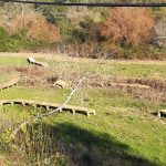 passadico prado IMG 20200111 145717
