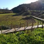 passadico prado IMG 20200111 145951