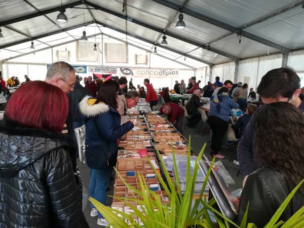 Encontro de colecionadores em versão reduzida por falta de espaço colecionadores IMG 20190309 105701 600x450 1