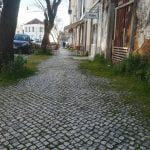 ervas IMG 20200219 082852
