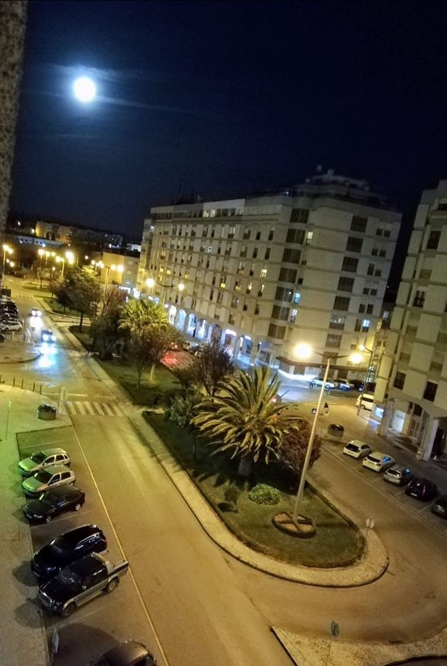 Tarado sexual à solta em Tomar alameda 841129 3125435795649855488 o