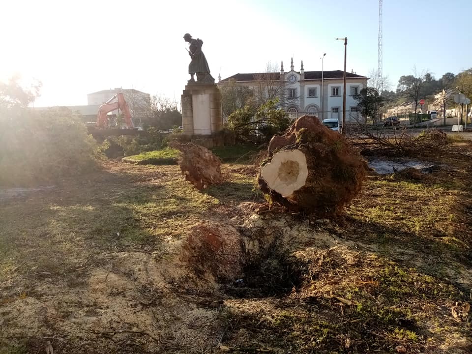 Abate de árvores em frente à estação da CP (c/ vídeo) arvores 67000 9065665356051251200 n