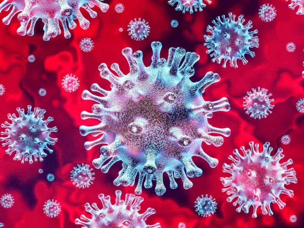 Covid-19: DGS continua a baralhar números coronavirus covid 19
