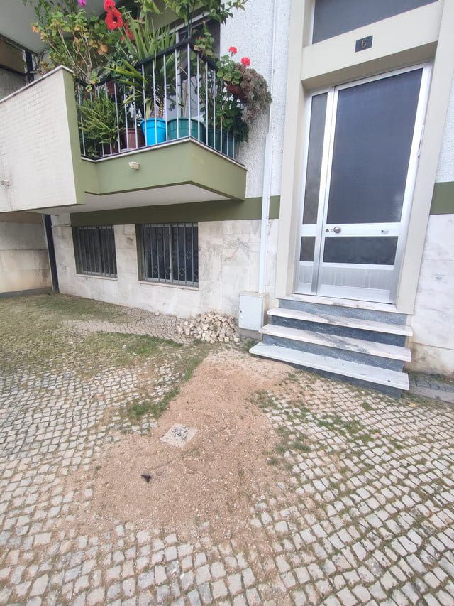 “Parece que a câmara parou…” calcada problema IMG20200429191529