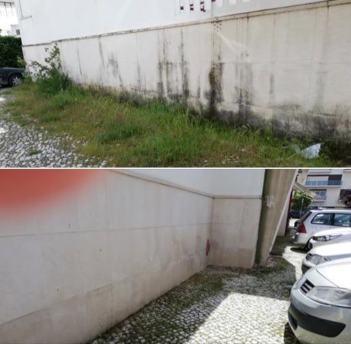 Moradora cansou-se de ver ervas no passeio e… ervas 567890