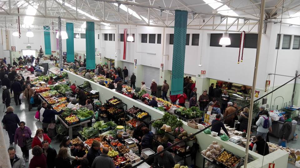 Maioria PS na câmara rejeita abertura a vendedores de hortícolas para plantar mercado 3558168412810173415 n