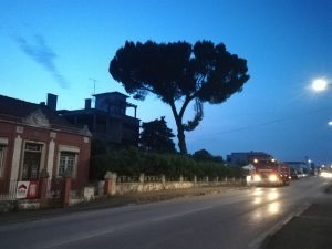 Incêndio destrói anexo de habitação IMG 20200530 212449