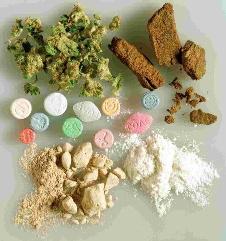 Distrito: houve 64 apreensões de cannabis em 2019 drogas