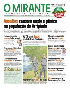 Capas dos jornais locais e regionais j original