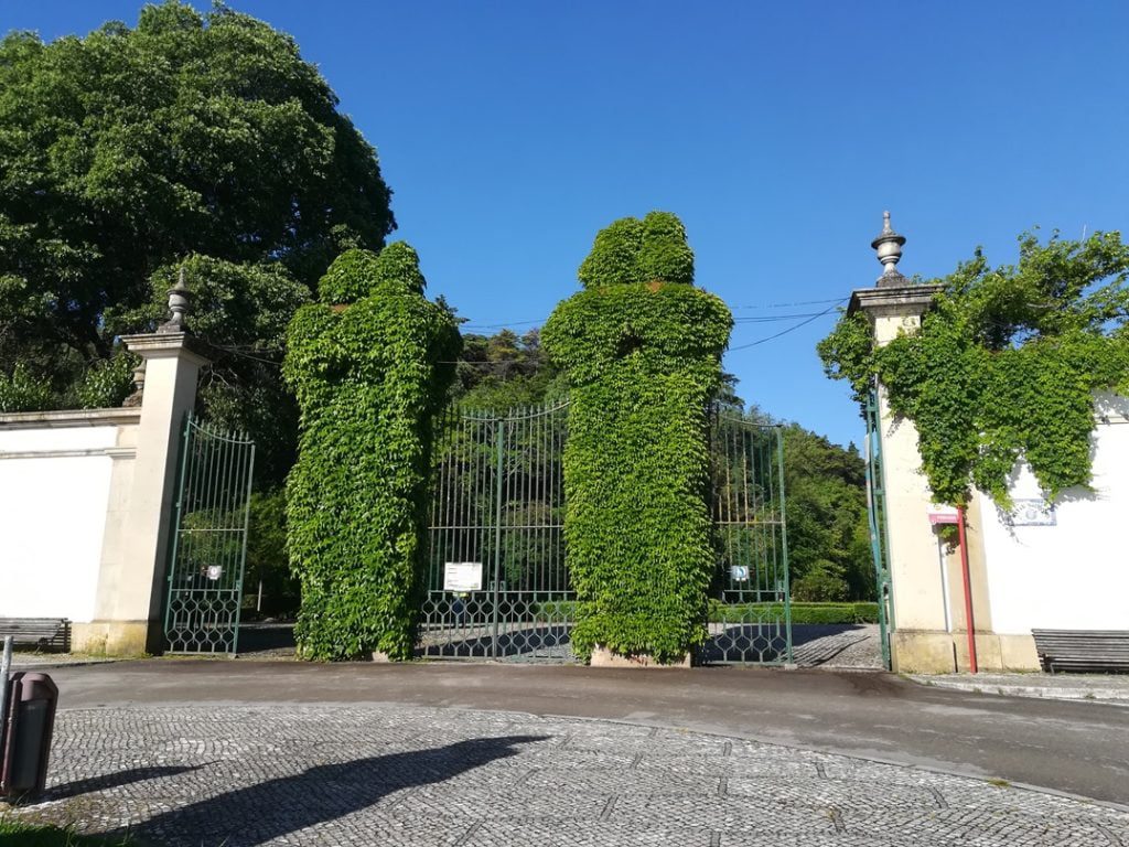 Mata reabre com parque infantil e sanitários encerrados (c/ fotos) mata IMG 20200516 090101