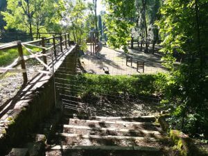Mata reabre com parque infantil e sanitários encerrados (c/ fotos) mata IMG 20200516 090528