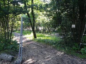 Mata reabre com parque infantil e sanitários encerrados (c/ fotos) mata IMG 20200516 090617