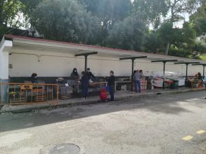 Imagens de um mercado em tempo de desconfinamento mercado IMG 20200515 101100