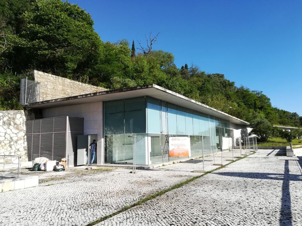 tejo ambiente IMG 20200516 085015