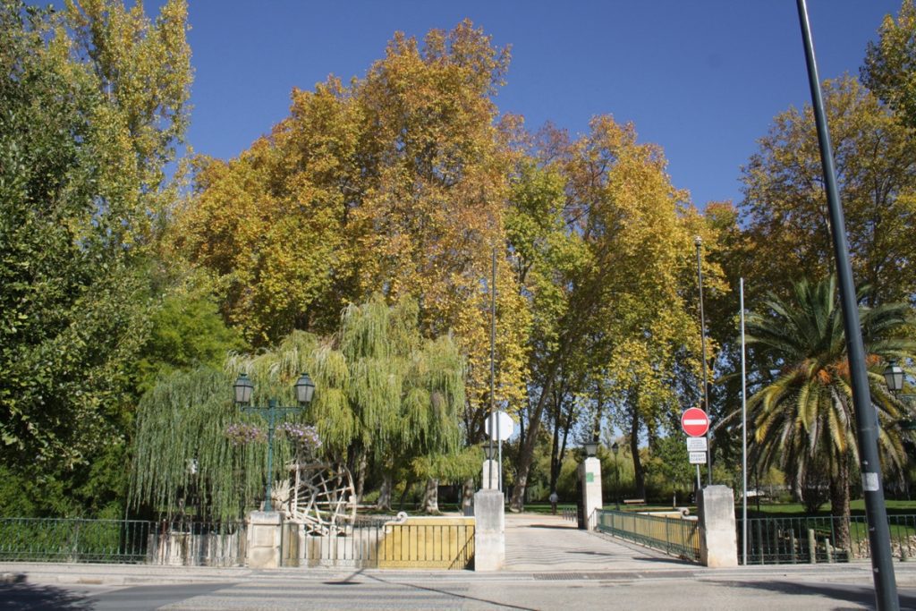 Estátuas e música animam noite de sábado Tomar Parque Mouchao