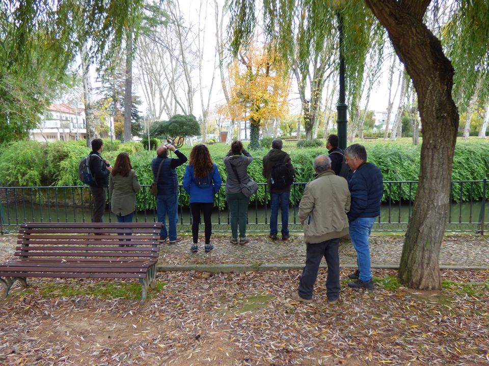“Birdwatching” no parque do Mouchão aves bird 32 5544107741758357504 o